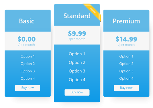 Attract More Customers with Unlimited Subscription Plans & Options